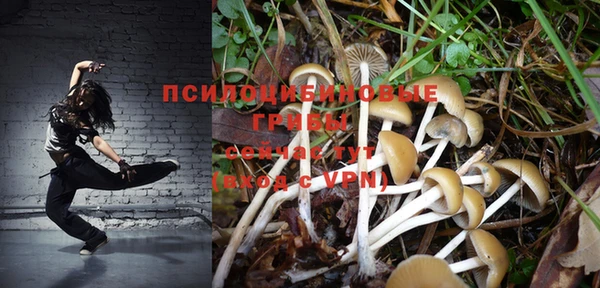 ешки Армянск