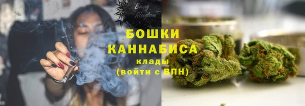 трава Аркадак