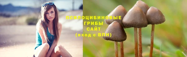 ешки Армянск