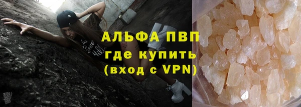 ECSTASY Покачи
