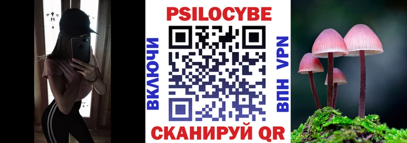 купить наркоту  Тайга  Галлюциногенные грибы Psilocybine cubensis 
